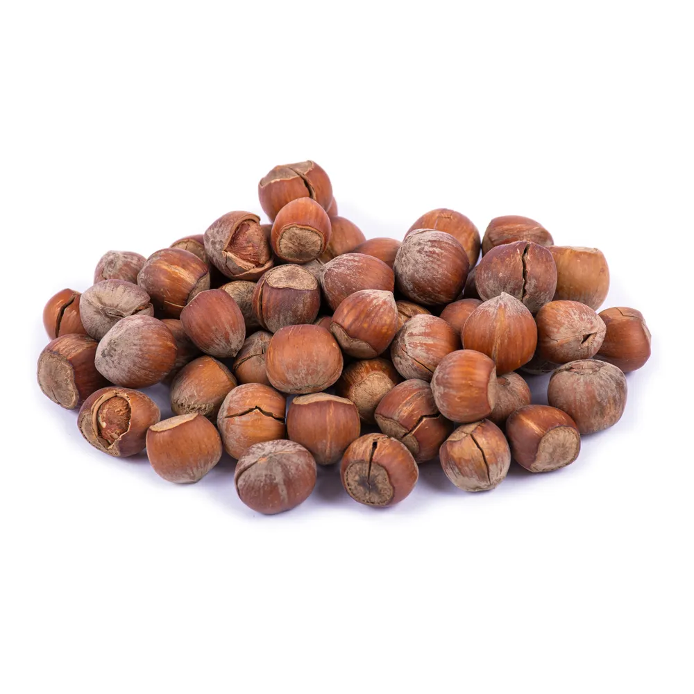 raw-hazelnuts-in-shell-barjil142-1.webp فندق خام با پوست - Image 1